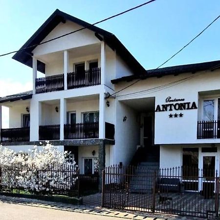 Pensiunea Antonia Vatra Dornei Ngoại thất bức ảnh