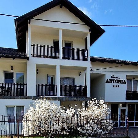 Pensiunea Antonia Vatra Dornei Ngoại thất bức ảnh