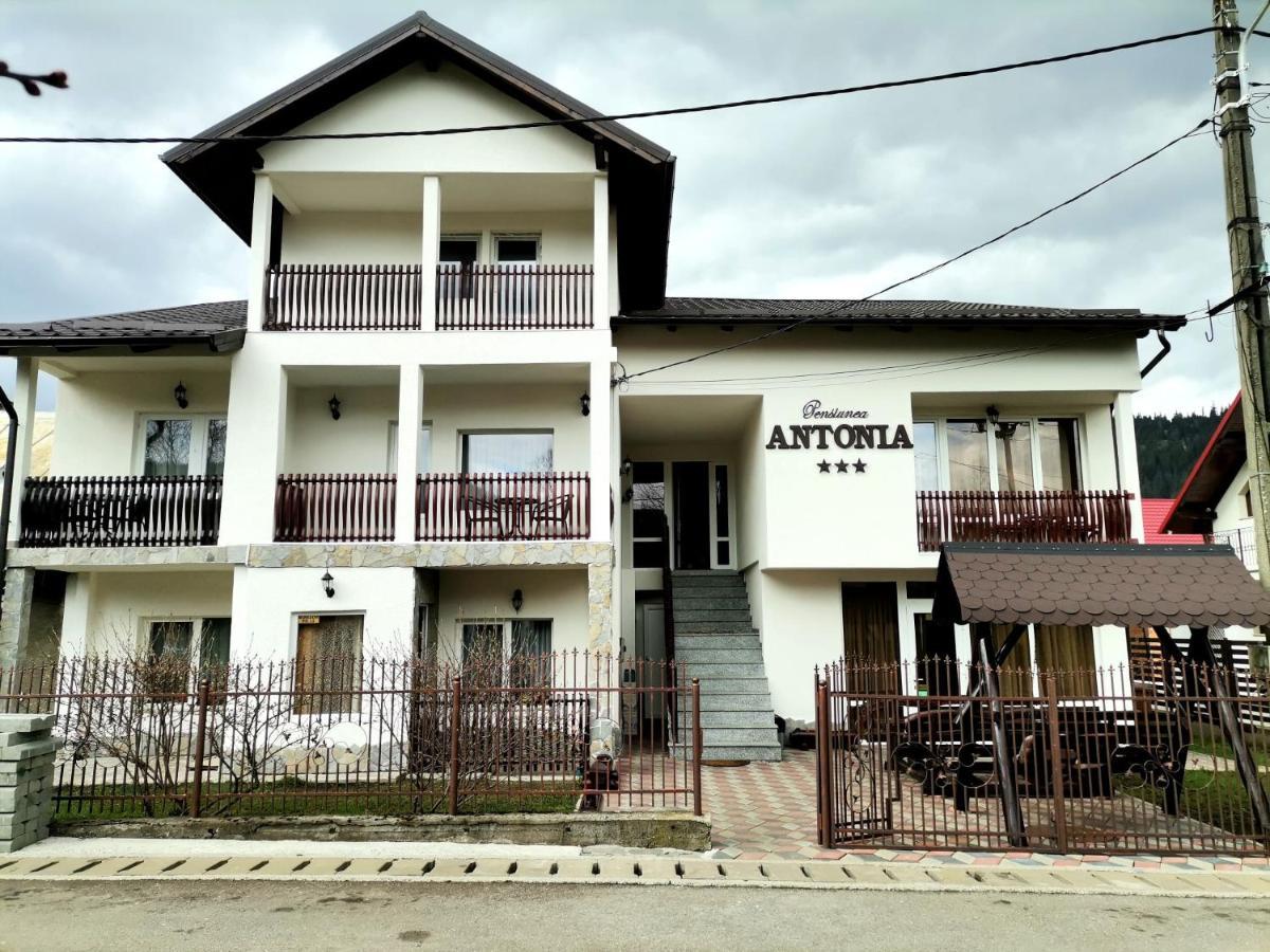 Pensiunea Antonia Vatra Dornei Ngoại thất bức ảnh