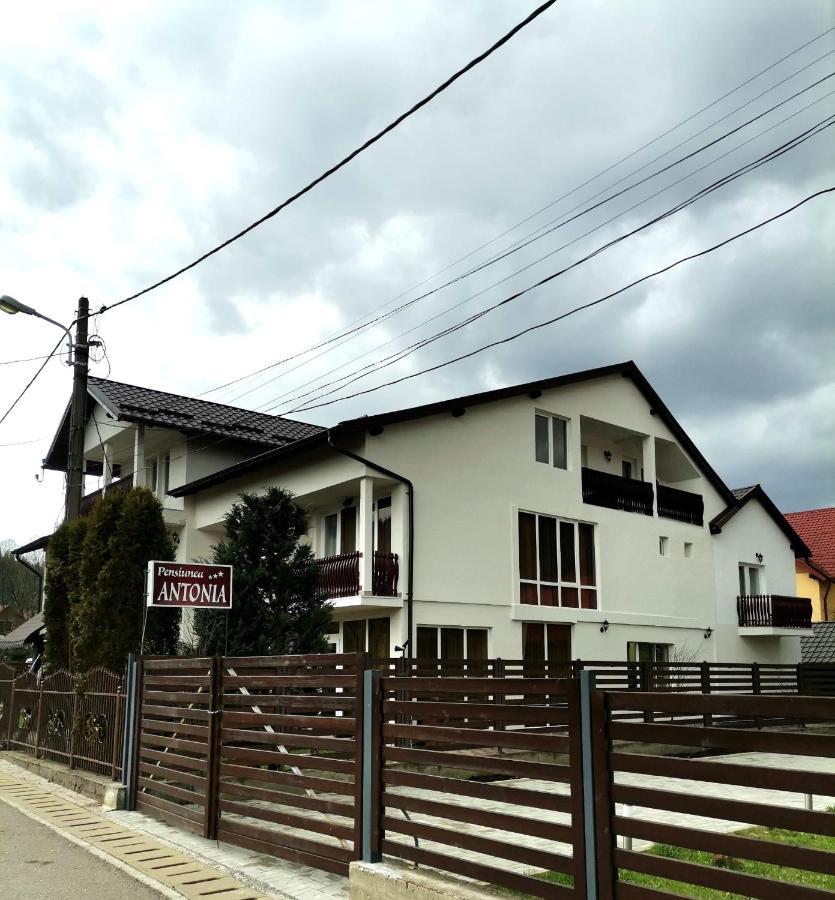 Pensiunea Antonia Vatra Dornei Ngoại thất bức ảnh
