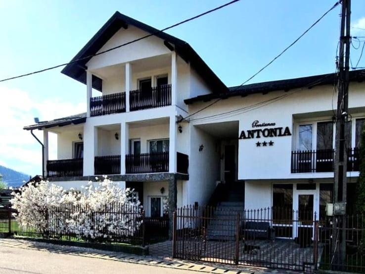 Pensiunea Antonia Vatra Dornei Ngoại thất bức ảnh