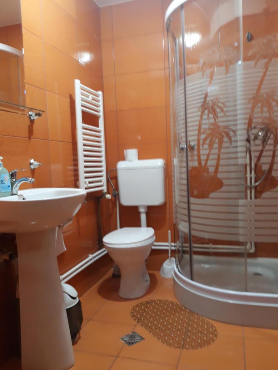 Pensiunea Antonia Vatra Dornei Ngoại thất bức ảnh
